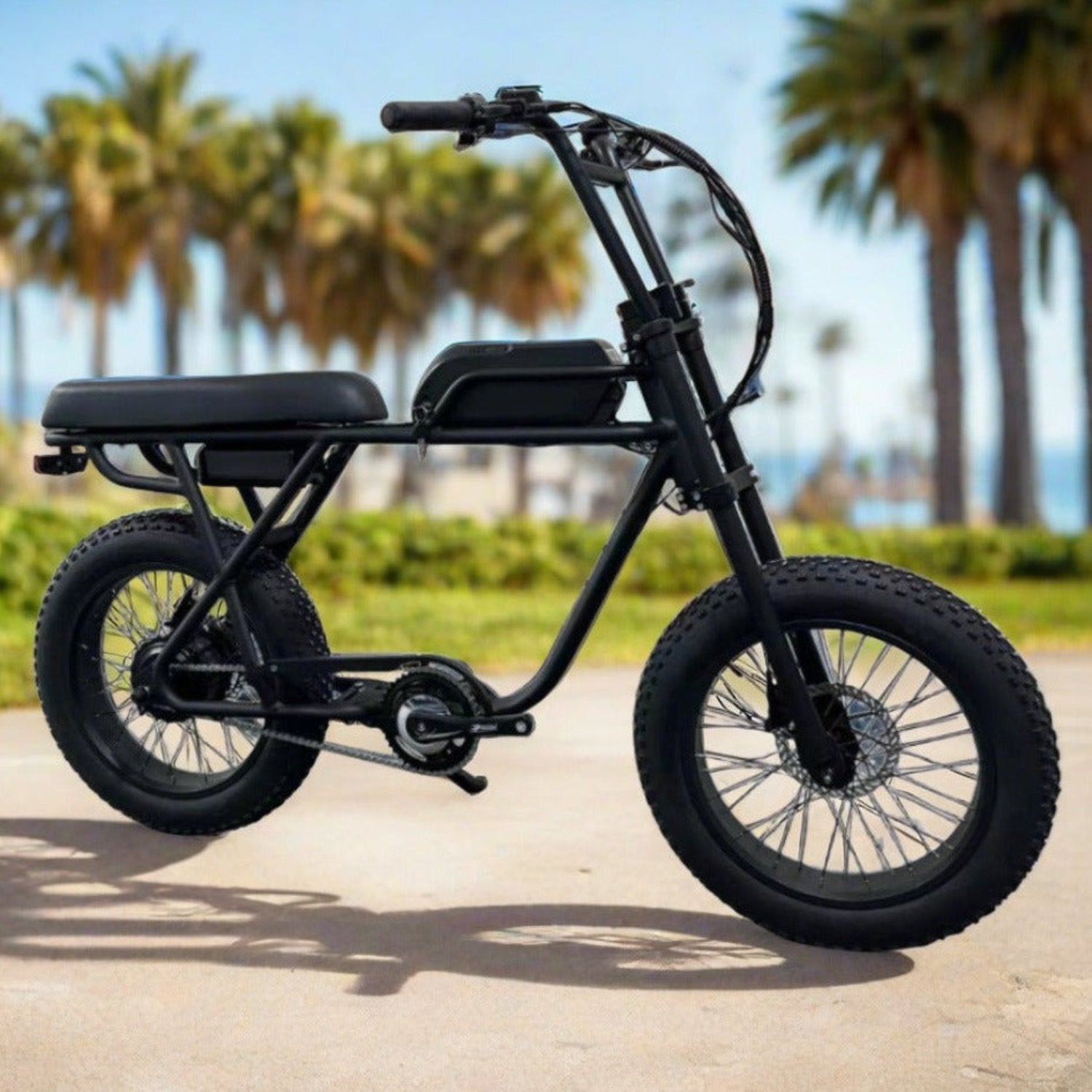 Coastal Cruiser Ripper 2 - 48V 750W Moto Style Electric Bike